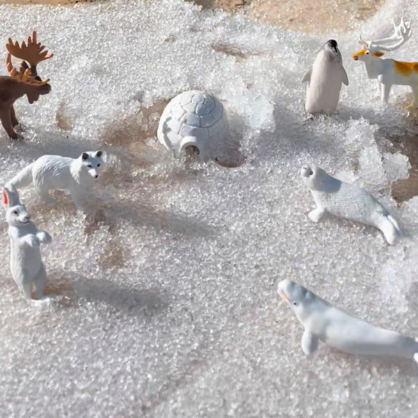 Figurenset in einer Tube TOOB – Tiere der Arktis