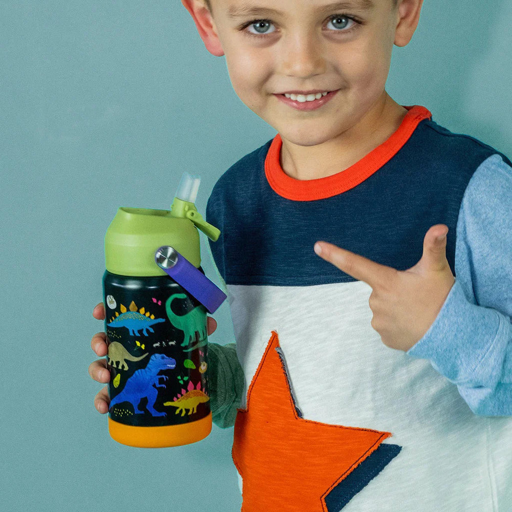 Stahlflasche, 400 ml bidon - Dinosaurier