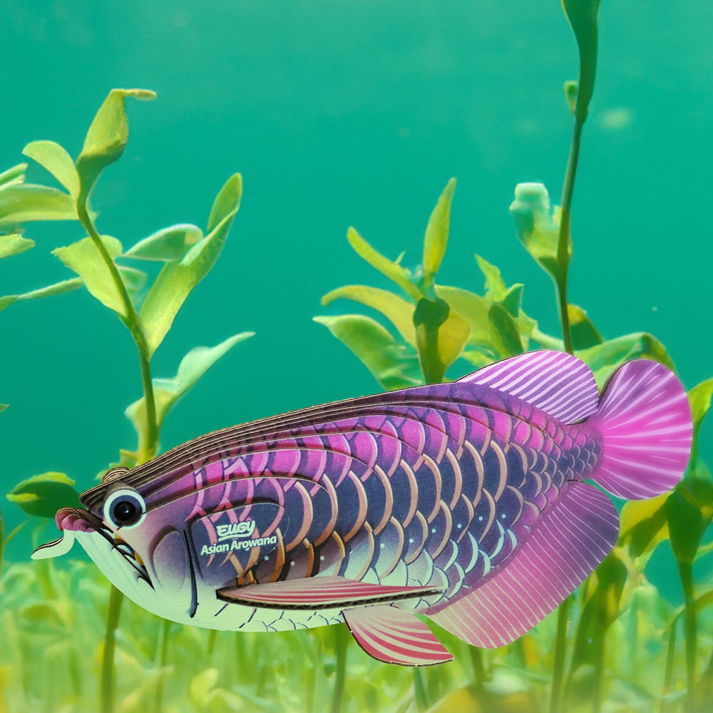 Öko-Puzzle 3D  - Asiatischer Arowana - Tublu.de