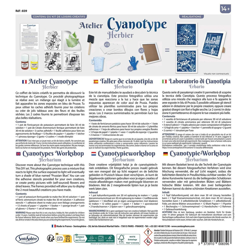 Herbarium in Cyanotypie-Technik