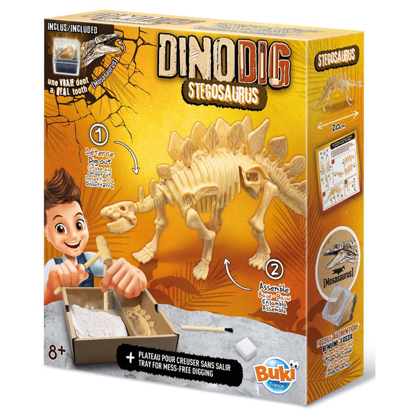 Kleiner Paläontologe - Stegosaurus
