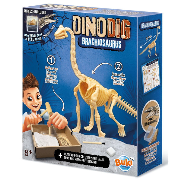 Kleiner Paläontologe - Brachiosaurus