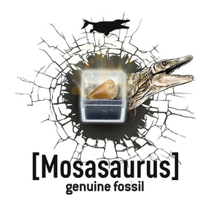 Kleiner Paläontologe – Tyrannosaurus