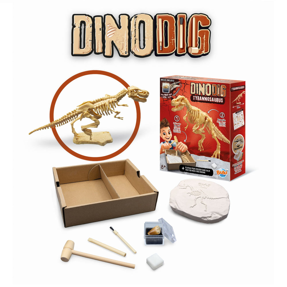 Kleiner Paläontologe – Tyrannosaurus