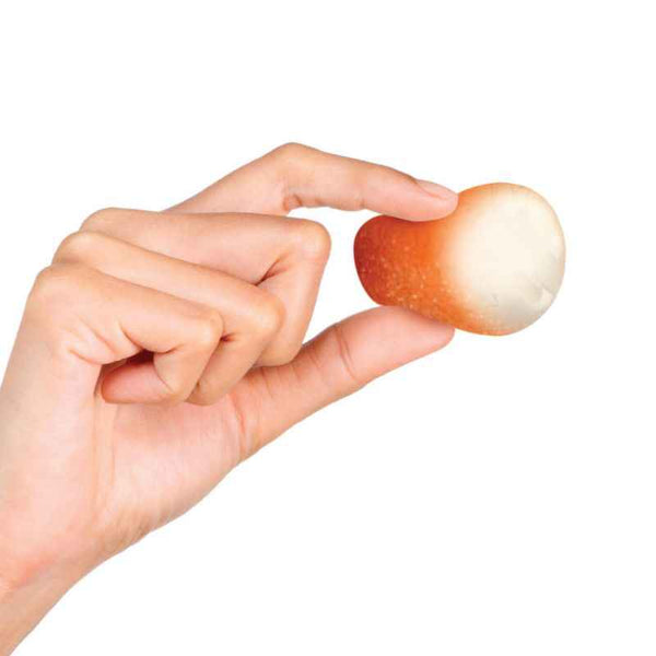 Sensorischer Knete - Needoh Donut Holes
