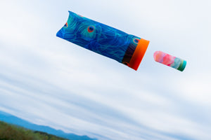Airlyft-Wurfrakete - Rainbow Zebra