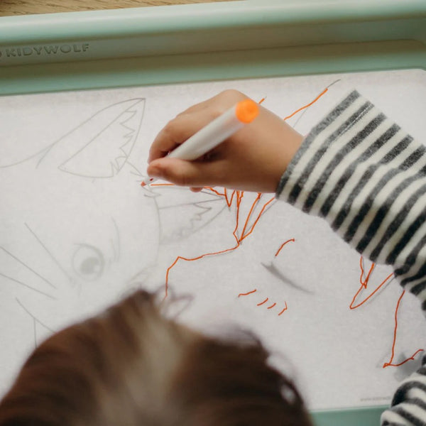 Leuchttafel zum Schreiben und Zeichnen Kidydraw Pro