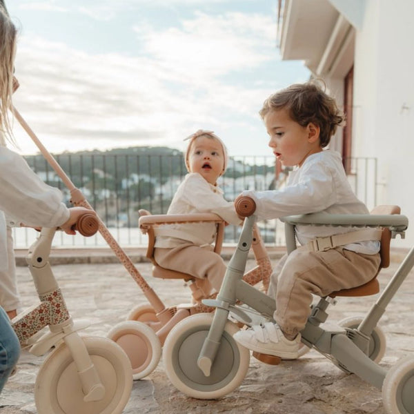 4-in-1-Dreirad mit Griff – Fairy Floral