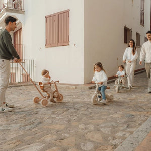 4-in-1-Dreirad mit Griff – Sunny Flower