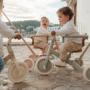 4-in-1-Dreirad mit Griff – Sunny Flower