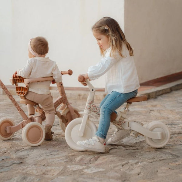 4-in-1-Dreirad mit Griff – Sunny Flower