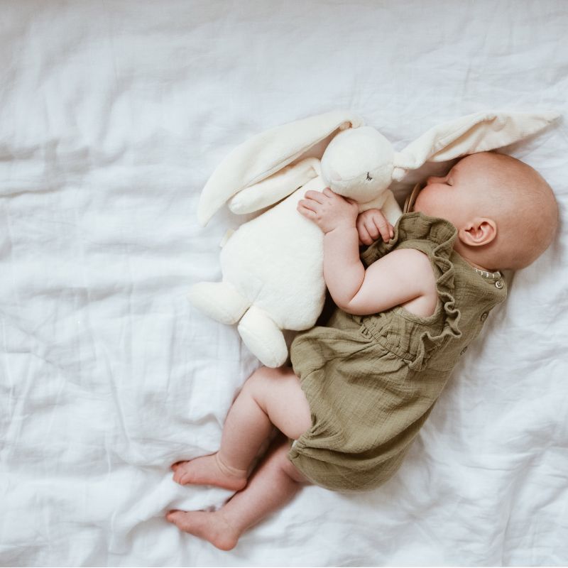 Summendes Kaninchen mit Lampe Basic 2.0 – Powder