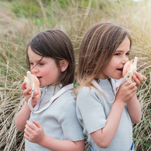 Walkie Talkie für Kinder – Rosa Dinosaurier