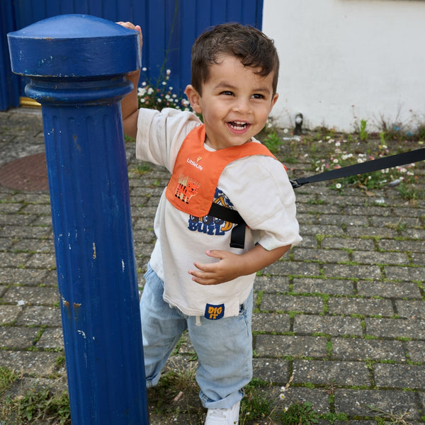 Sicherheitsgurte – Tiger