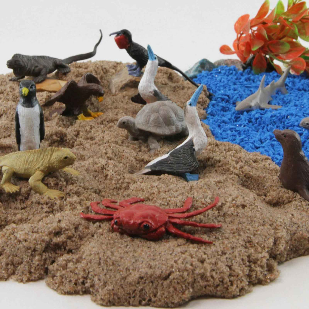 Zestaw Figurek w Tubie TOOB Safari Ltd. - Zwierzęta z Wysp Galapagos
