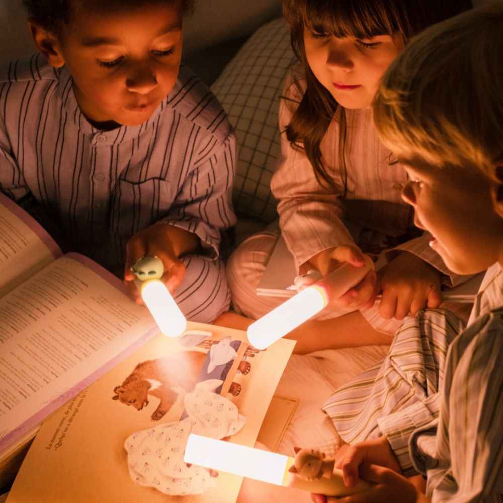 Tragbare Lampe Zoo Light – Dinosaurier