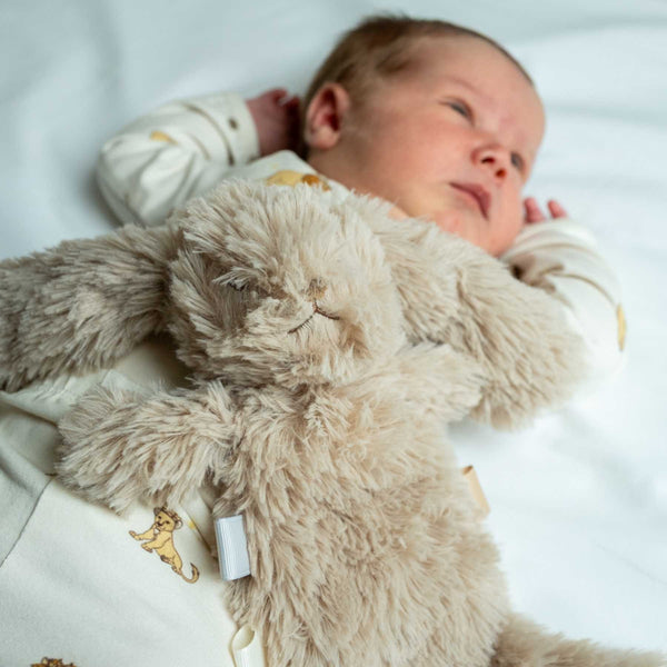 Kuscheltier mit Gewicht – Mini-Teddyhase