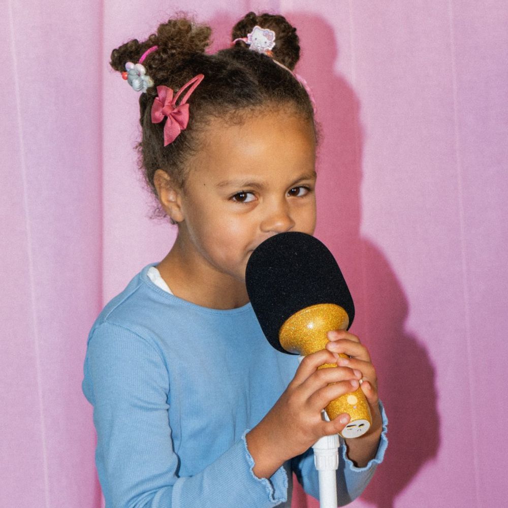 Glitter Groove Karaoke Microphone - Rose