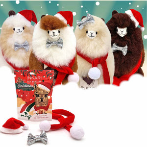 Zubehörset für Alpakas – Weihnachten