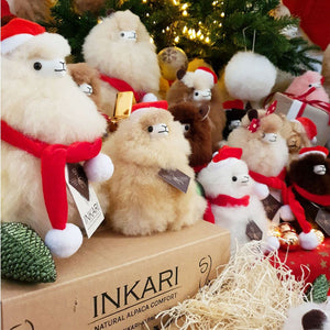 Weihnachtsmannmütze für Alpaka