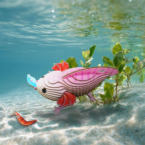Öko-Puzzle 3D – Axolotl