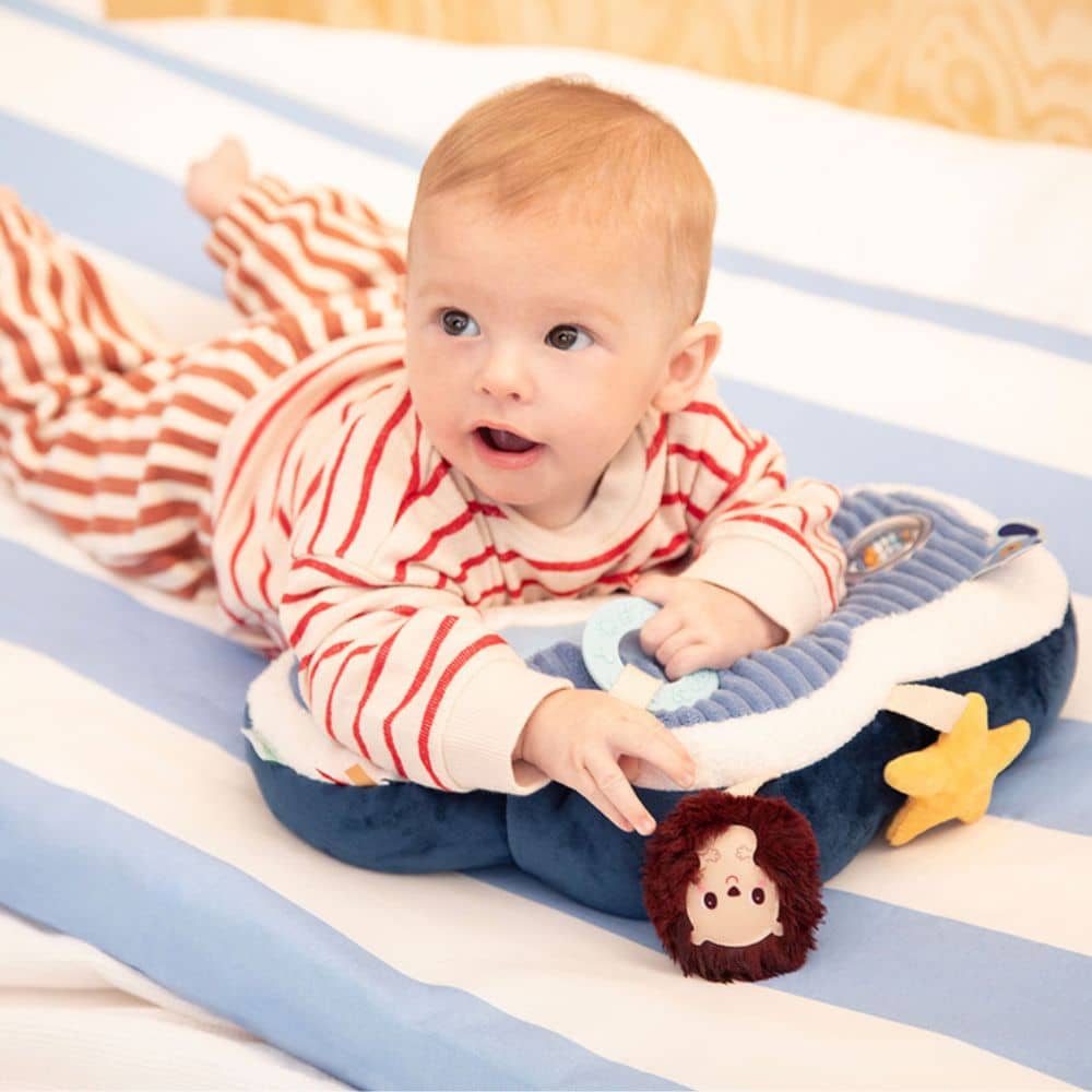 Multifunktionales Aktivierungskissen – Hund Jules 3m+