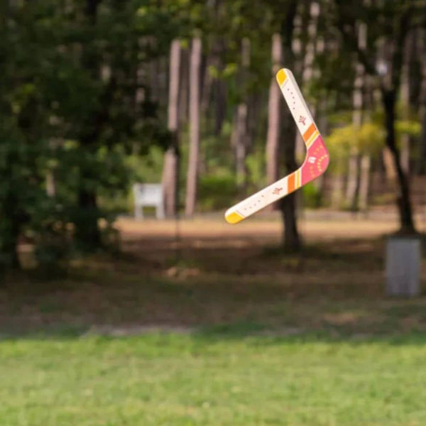 Ein Bumerang aus Holz
