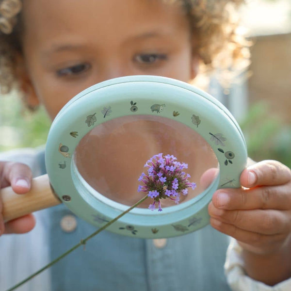 Lupe - Forest Friends