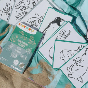 Nachfüllkarten – Kidydraw Mini – Tiere der Welt / Ozean und Piraten (60 Stück)