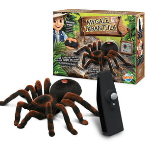 Ferngesteuerte Vogelspinne - RC-Tarantel Rotknie-Vogelspinne