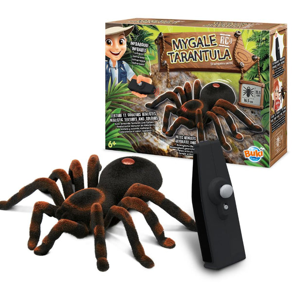 Ferngesteuerte Vogelspinne - RC-Tarantel Rotknie-Vogelspinne