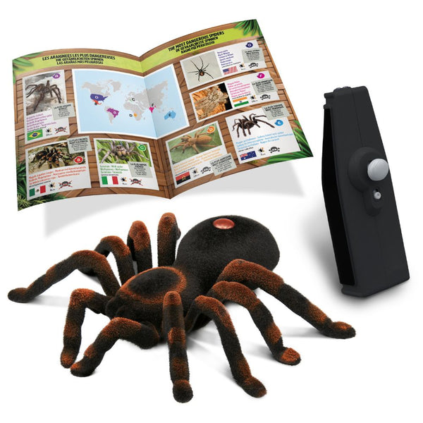 Ferngesteuerte Vogelspinne - RC-Tarantel Rotknie-Vogelspinne