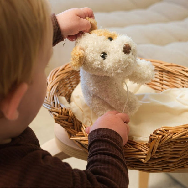 Spieluhr-Kuscheltier - Eliot mit Spieluhr (16 cm)