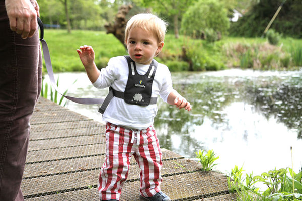 Sicherheitsgurt – Safety Harness