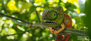 Eugy 3D Öko-Puzzle Chamäleon aus Karton für kreative Bastelprojekte im Garten