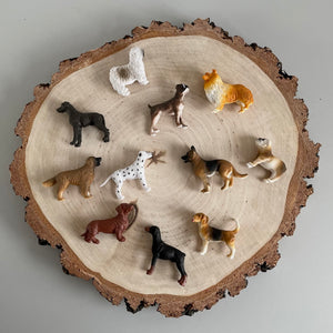 Hunde Spielfiguren Set mit 10 detailreichen Plastikfiguren verschiedener Hunderassen auf Holzscheibe