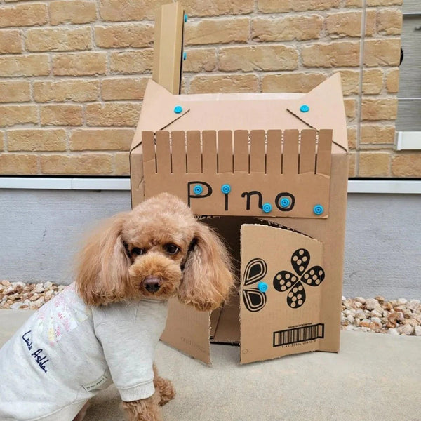 Makedo Werkzeugsatz für DIY-Konstruktionen mit Hund vor selbstgebautem Kartonhaus