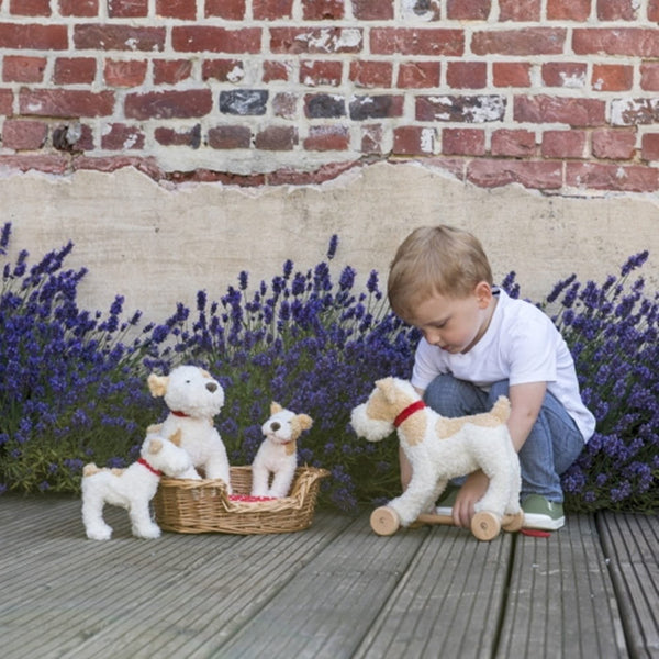 Junge spielt mit einem Egmont Toys Plüschhund zum Ziehen neben weiteren Plüschtieren in einem Lavendelgarten