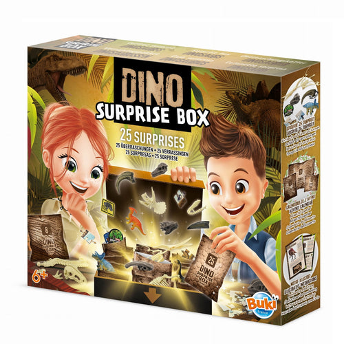 Box mit 25 Dinosaurier-Überraschungen