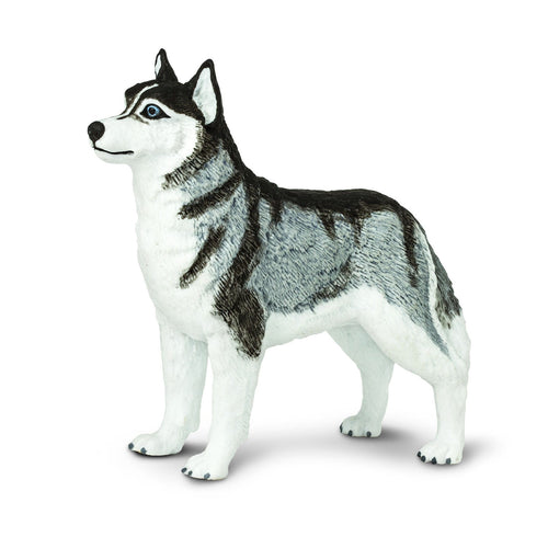 Figur – Siberian Husky - Tublu.de