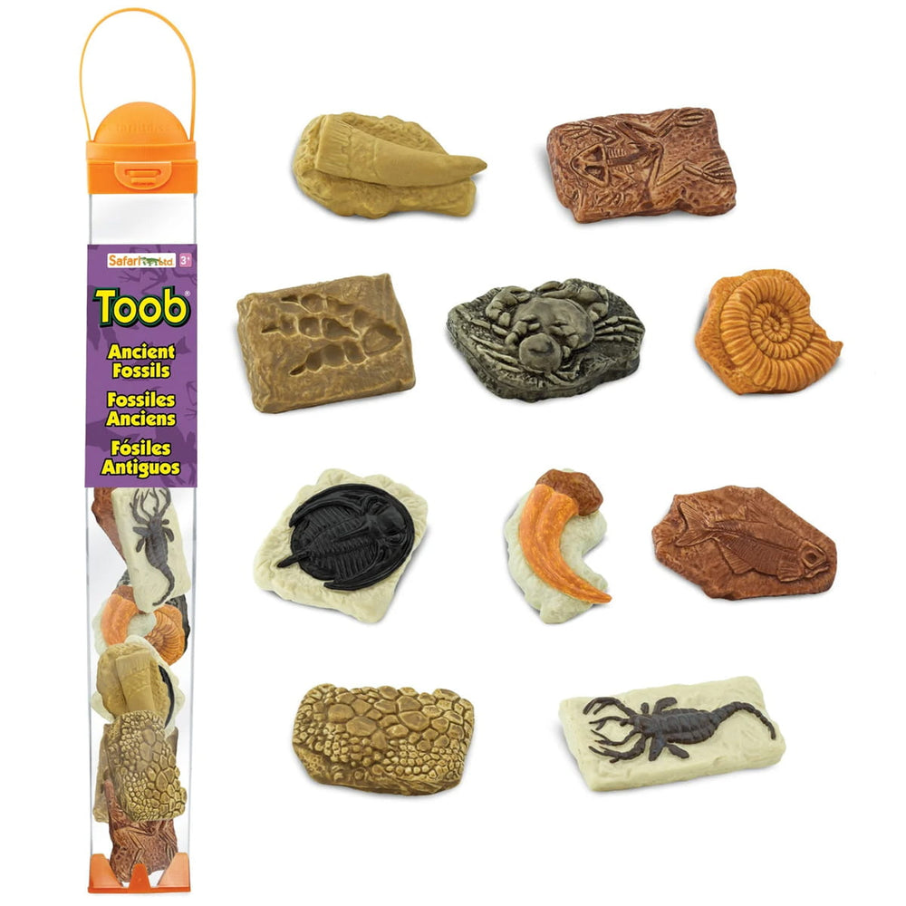 Figurenset in einer Tube TOOB – Fossilien - Tublu.de