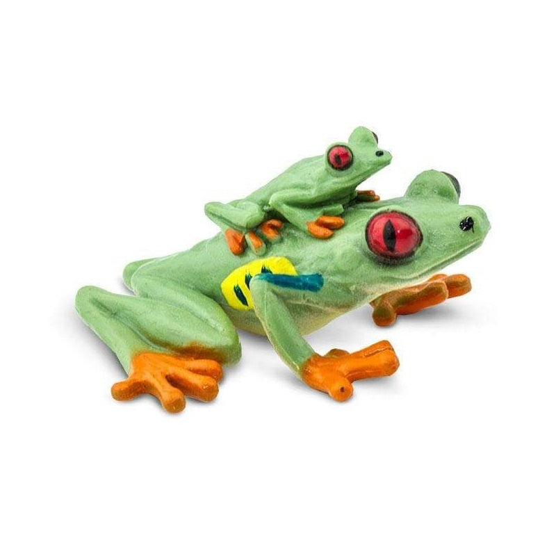 Figur – Rotaugerote Baumkröte