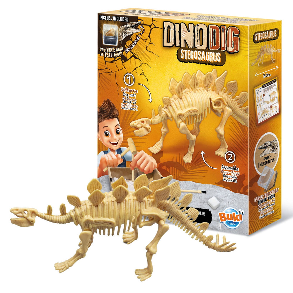 Kleiner Paläontologe - Stegosaurus