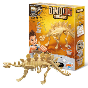 Kleiner Paläontologe - Stegosaurus