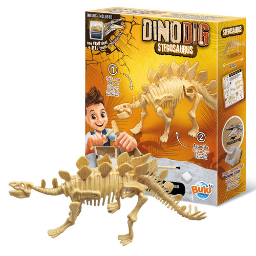 Kleiner Paläontologe - Stegosaurus