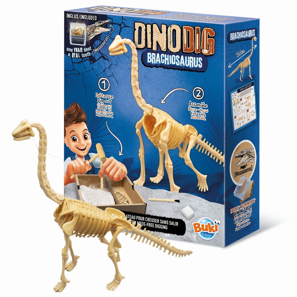 Kleiner Paläontologe - Brachiosaurus