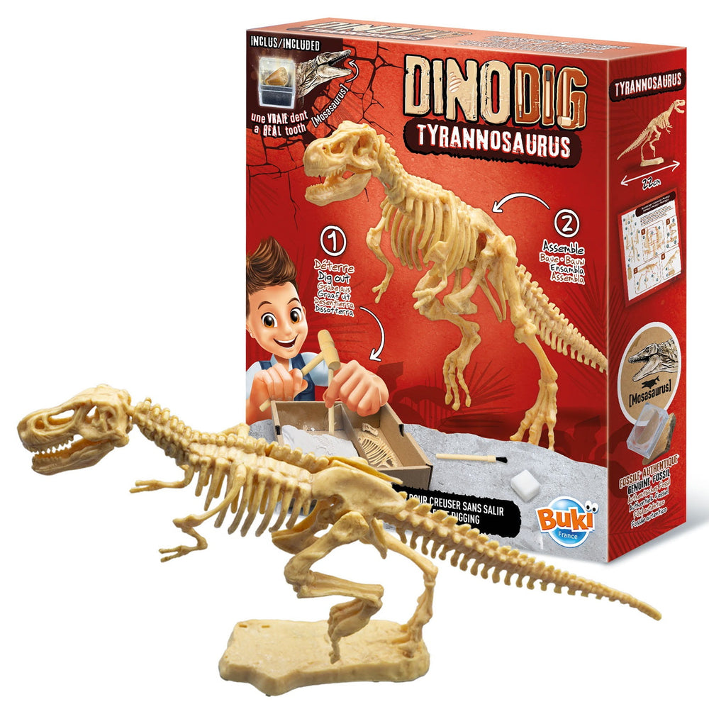 Kleiner Paläontologe – Tyrannosaurus