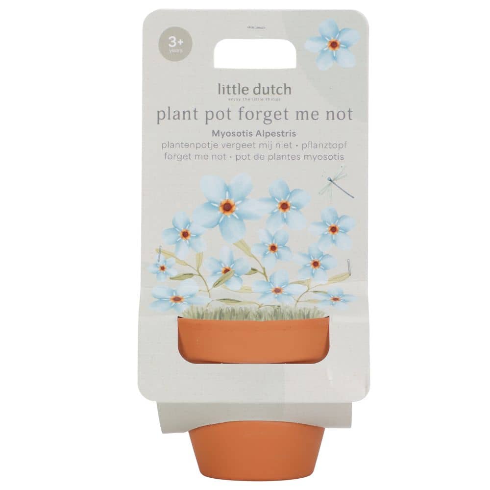 Vergissmeinnicht zum Selberanbau