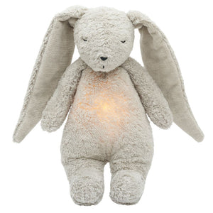 Rauschendes Kaninchen mit Lampe Organic 2.0 – Grau