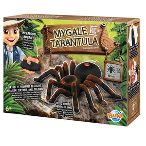 Ferngesteuerte Vogelspinne - RC-Tarantel Rotknie-Vogelspinne